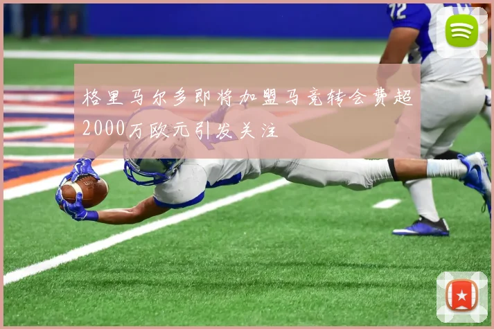 格里马尔多即将加盟马竞转会费超2000万欧元引发关注