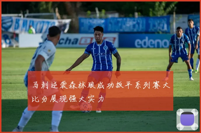 马刺逆袭森林狼成功扳平系列赛大比分展现强大实力